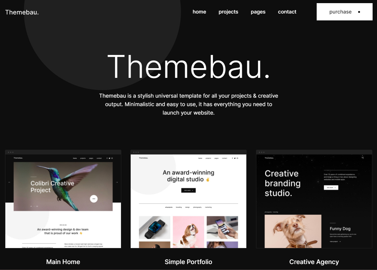 themes portfolio blog